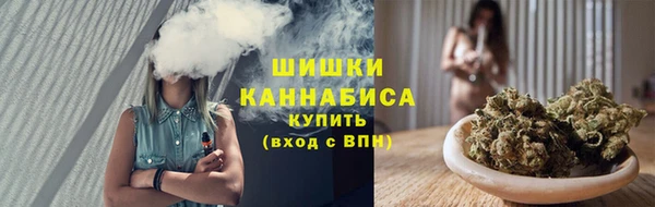 амф Богородск