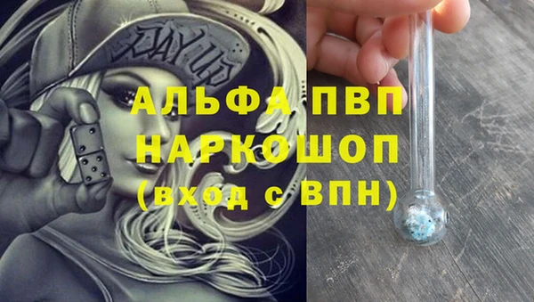spice Баксан