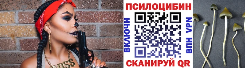 Галлюциногенные грибы мицелий  блэк спрут зеркало  площадка Telegram  где продают наркотики  Новая Ляля 
